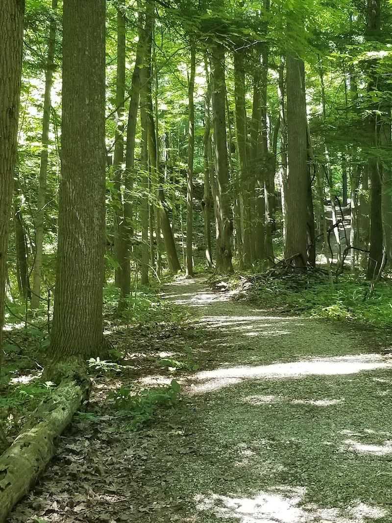 Birding and Wildlife Watching Along the Trails