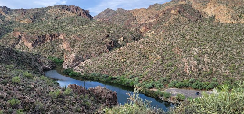Birdwatching Along the Salt River