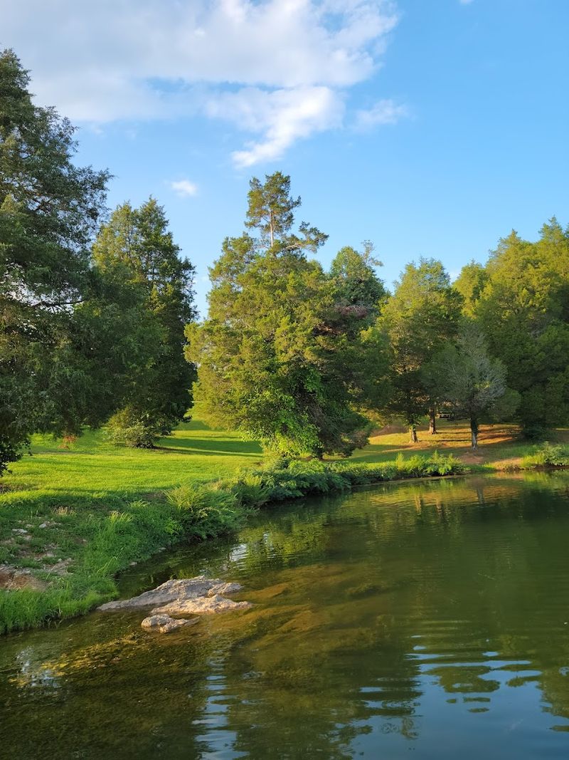 Birdwatching Near the Lake: A Surprisingly Addictive Hobby