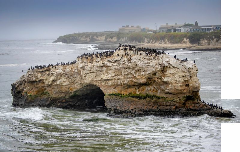 Birdwatching and Coastal Ecology