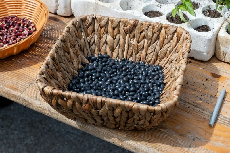 Black beans