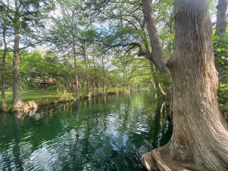 Blue Hole Regional Park - Wimberley, Texas