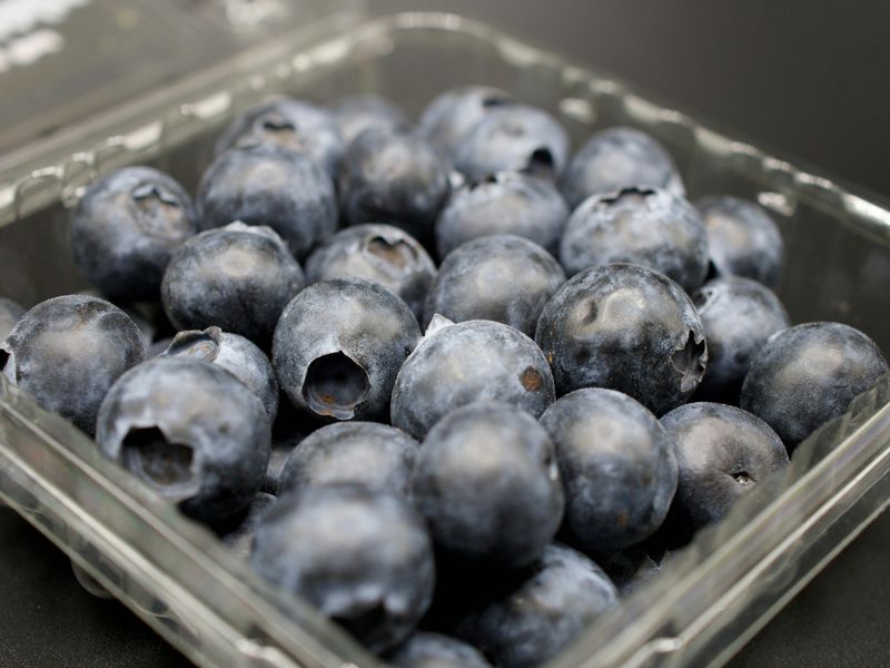 Blueberries Fresh