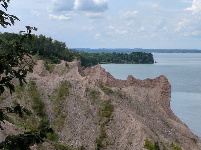 Bluff Trail: The One Mile Walk Everyone Talks About