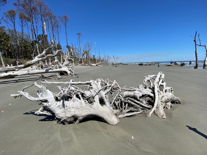 Boneyard Beach - Awendaw, South Carolina