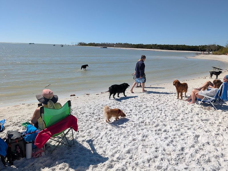 Bonita Beach Dog Park - Fort Myers Beach, Florida