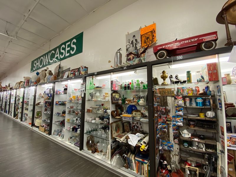 Books, Cameras, and Quirky Collectibles for the Curious Mind