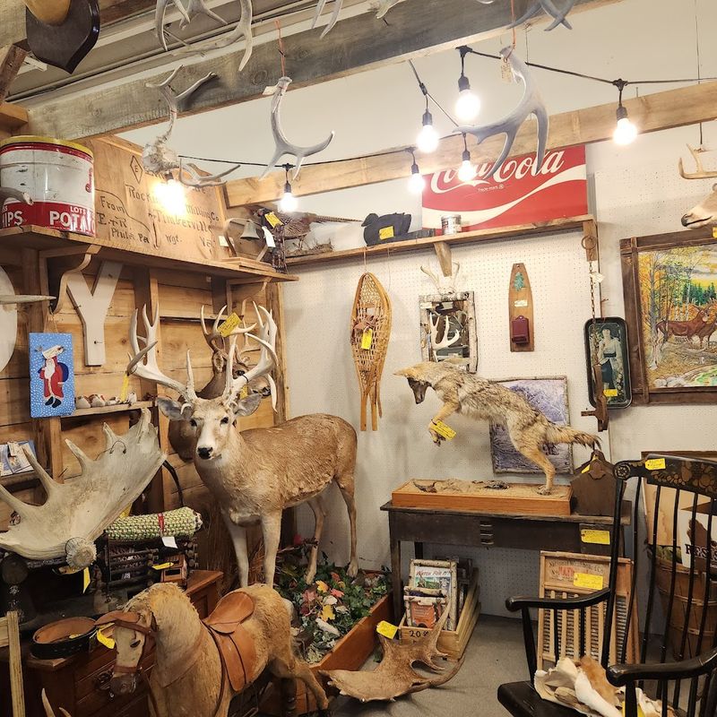 Books, Maps, and Paper Ephemera for History Buffs