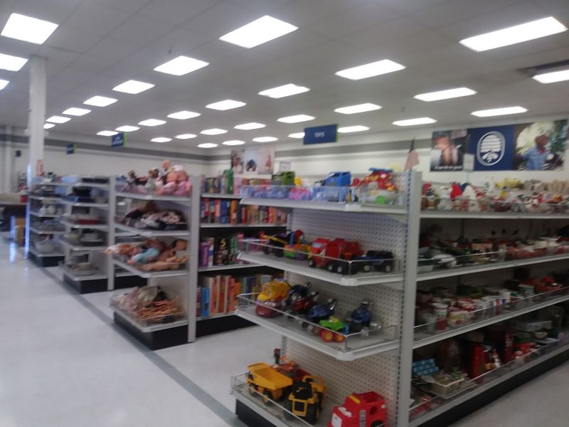 Books, Toys, and Fun Finds for the Whole Family