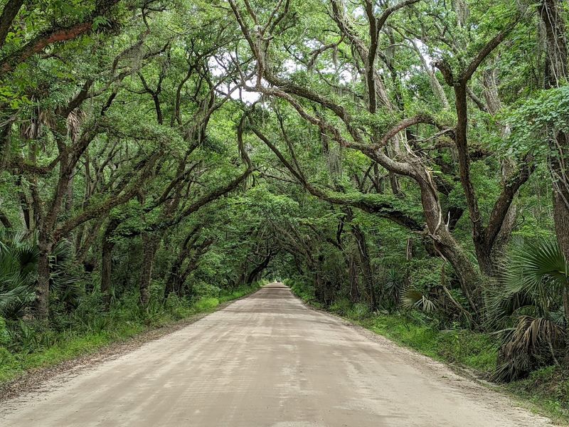 Botany Bay Heritage Preserve - Edisto Island, South Carolina