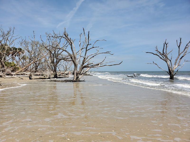 Botany Bay Heritage Preserve - Edisto Island, South Carolina