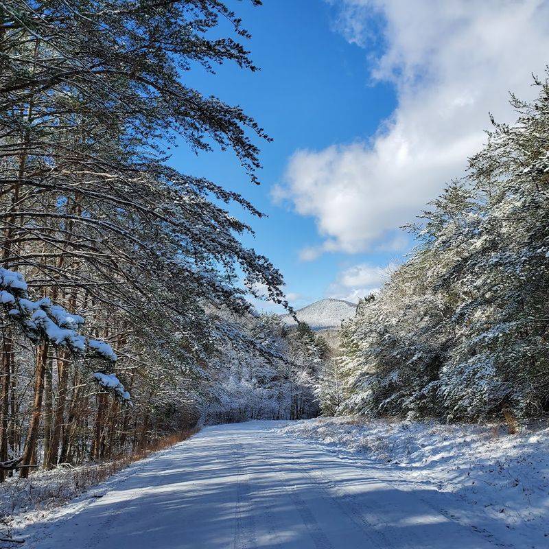 Brasstown Bald: Standing on Top of Georgia