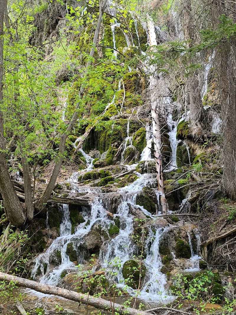 Bridal Veil Falls: The Upper Waterfall Gem Bridal Veil Falls: The Upper Waterfall Gem