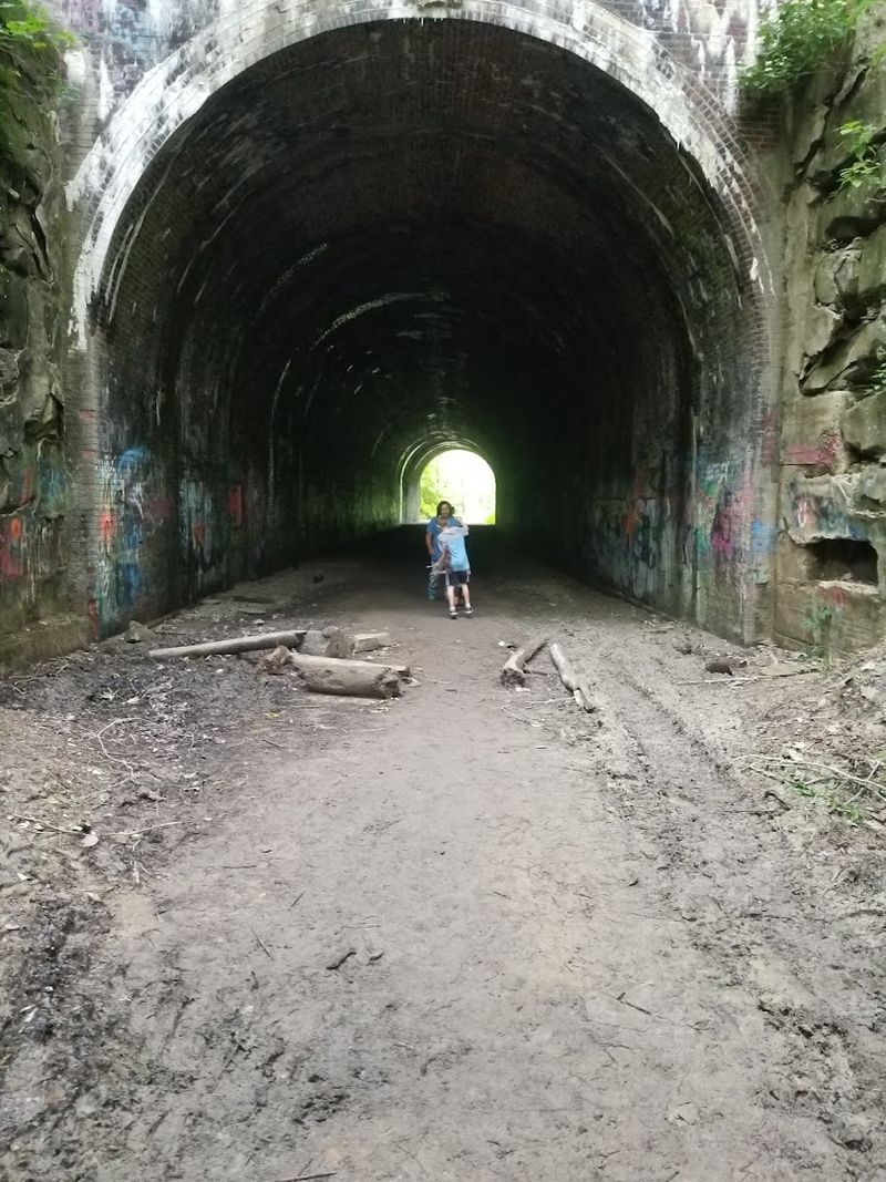 Bringing Kids to Moonville Tunnel