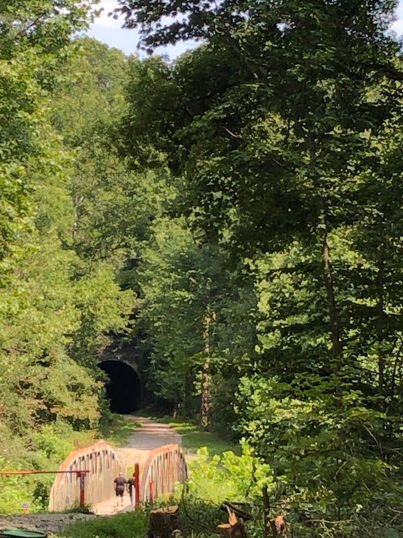 Bringing Your Dog on the Trail