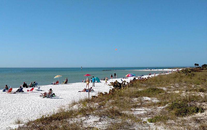 Bringing Your Dog to the Dog Beach