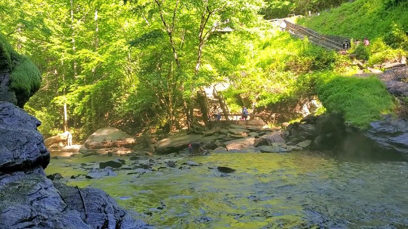Bringing the Kids: A Family-Friendly Adventure