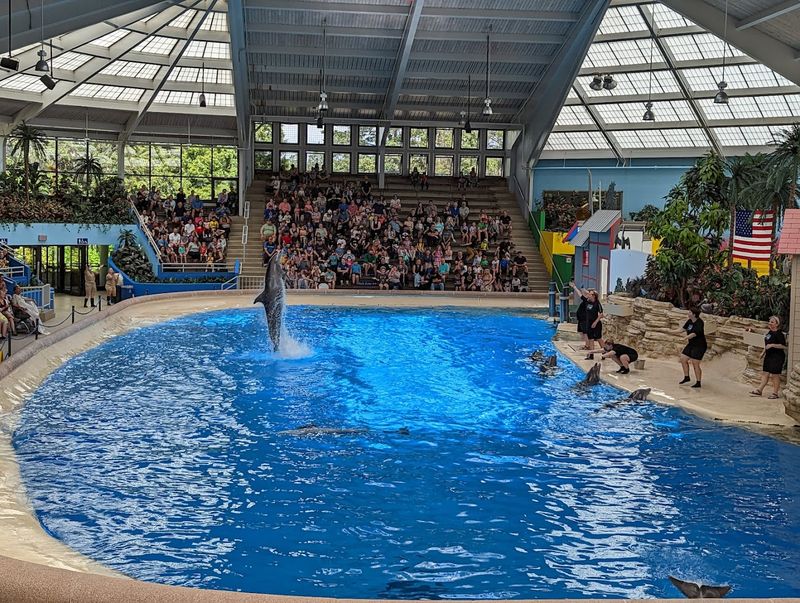 Brookfield Zoo Chicago - Brookfield, Illinois