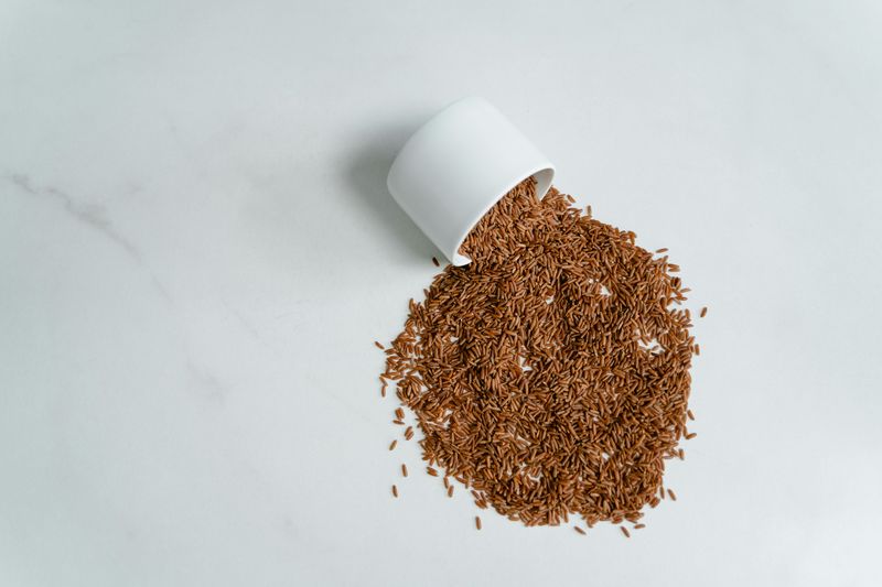 Brown Rice Brown Rice