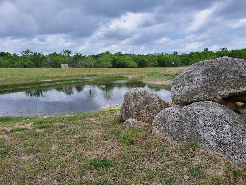 Buda City Park