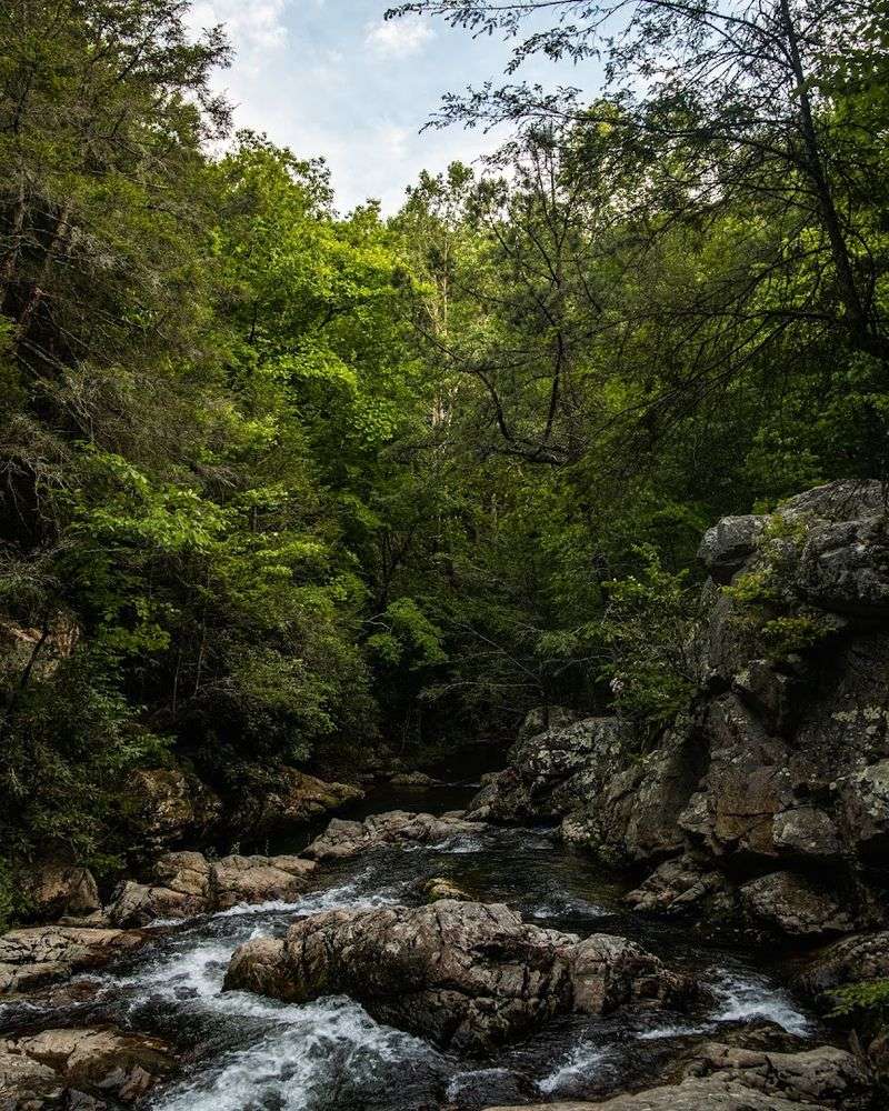 Buffalo Mountain Park Offers Breathtaking Views for Free