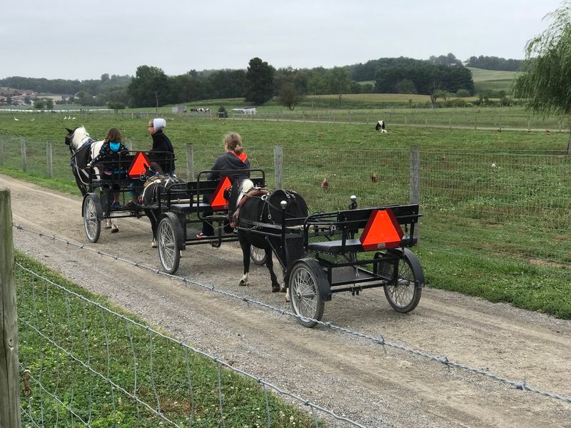 Buggy Rides Through Amish Country