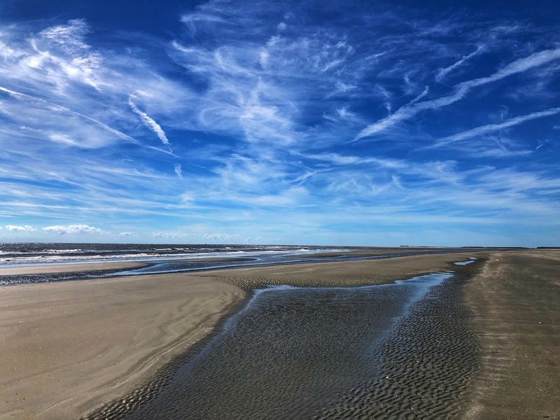 Bull Island - Awendaw, South Carolina