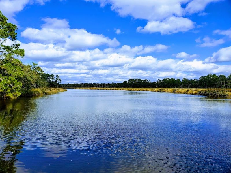 Bulow Creek Canoe and Kayak Trail