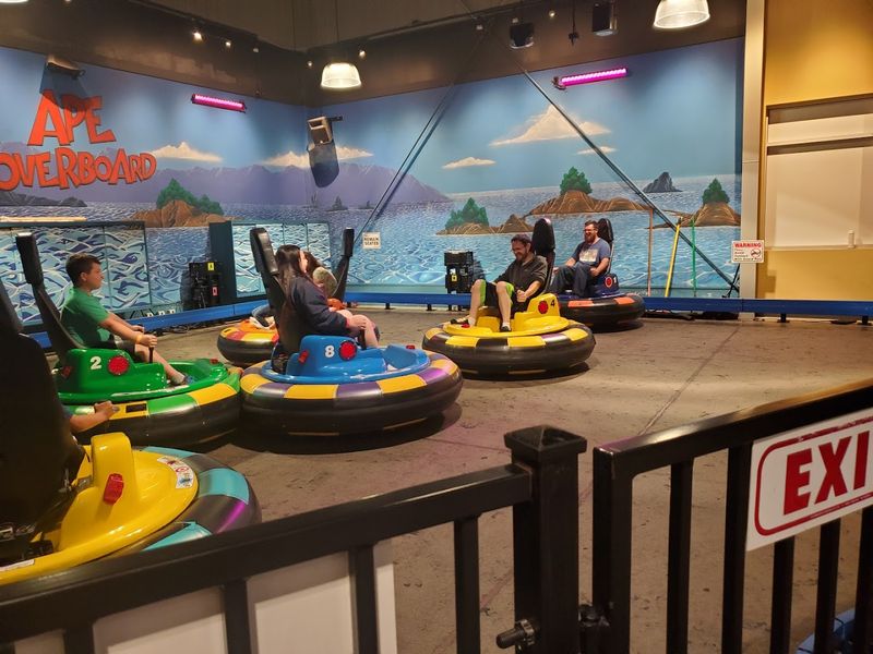 Bumper Cars