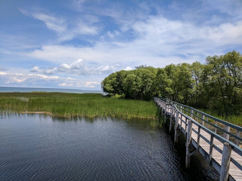 Burt Lake State Park: A Tranquil Escape Just Minutes Away