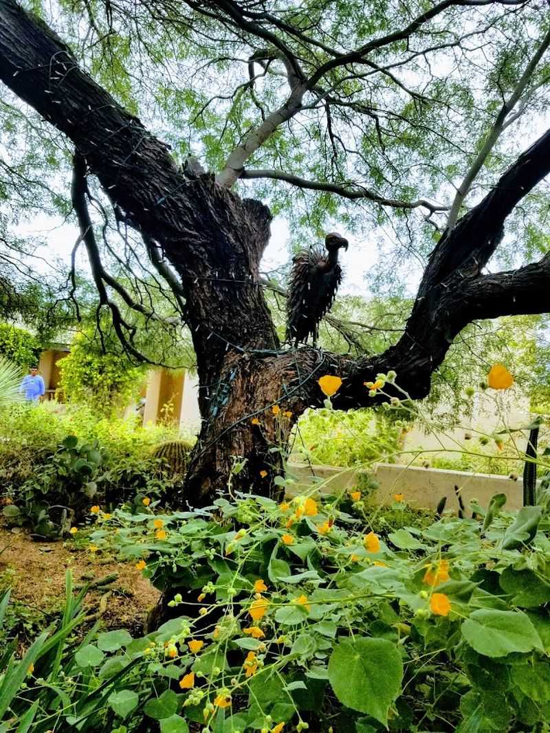 Butterfly Area That Feels Straight Out of a Fairy Tale