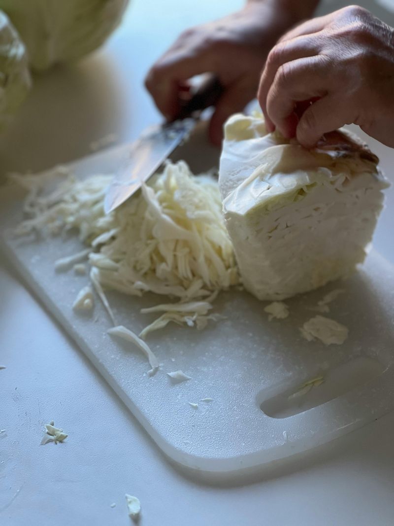 Cabbage