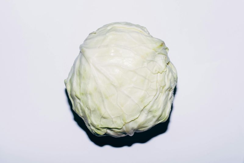Cabbage
