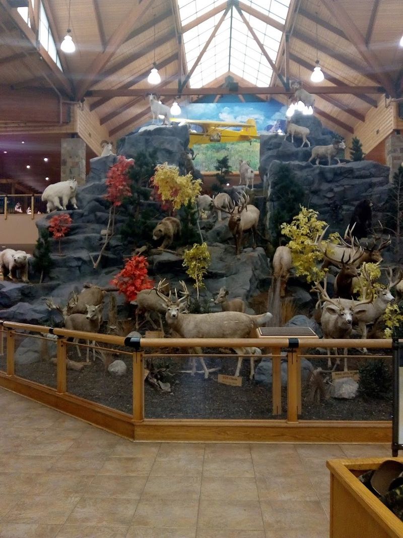 Cabela's Outdoor Gear and Shooting Range