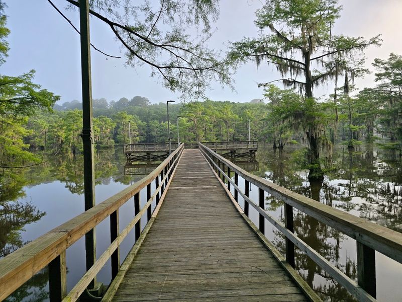 Caddo Lake State Park - Karnack, Texas