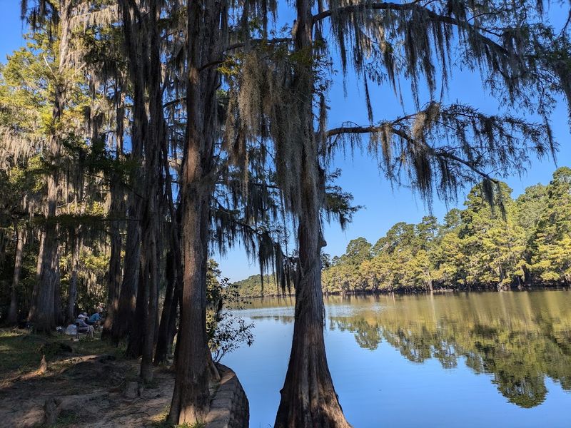 Caddo Lake State Park - Karnack, Texas