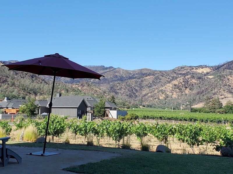 Calistoga Wineries and Wine Tasting