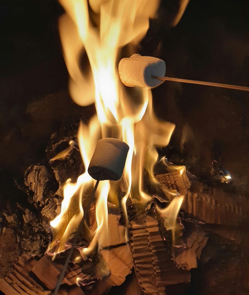 Campfire Marsh Campfire Marsh