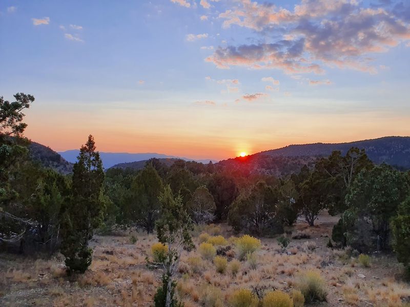 Campfire Nights That Feel Like a Full Digital Detox