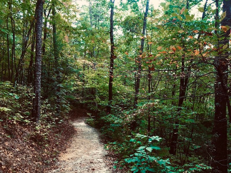 Campgrounds That Campers Keep Coming Back To