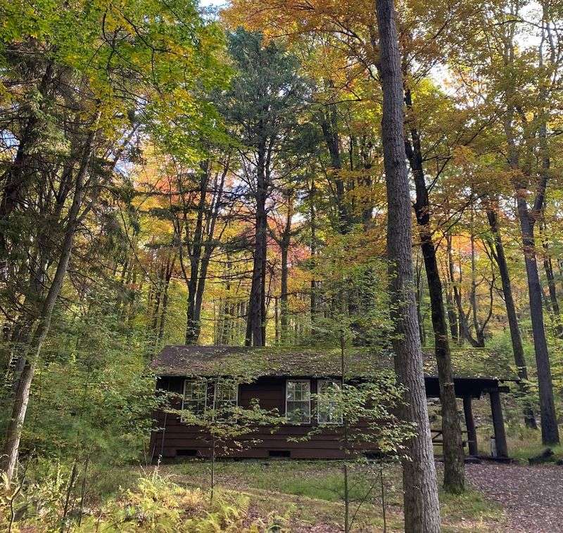 Camping Options That Suit Every Style and Budget Camping Options That Suit Every Style and Budget