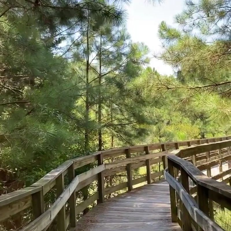 Camping Options That Suit Every Type of Outdoor Lover