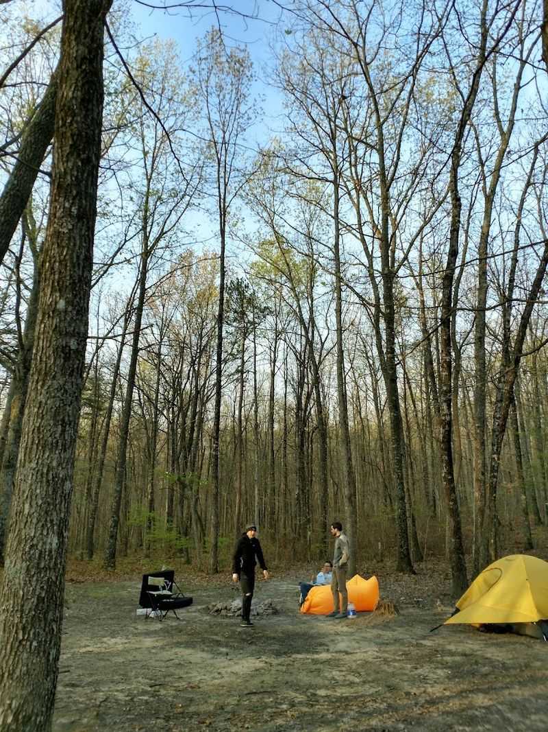 Camping Options and Overnight Adventures Near the Trailhead