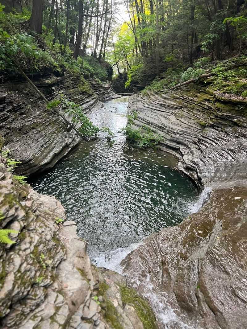 Camping Right Inside the Park: Wake Up to Waterfall Sounds Camping Right Inside the Park: Wake Up to Waterfall Sounds