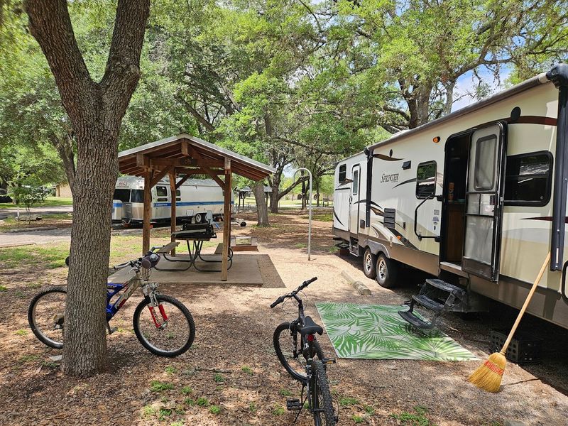 Camping Under a Canopy of Tall Shade Trees