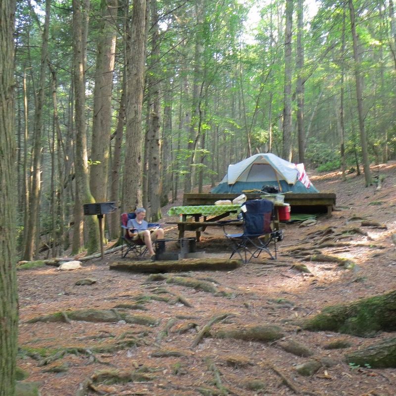 Camping Under a Sky Full of Stars