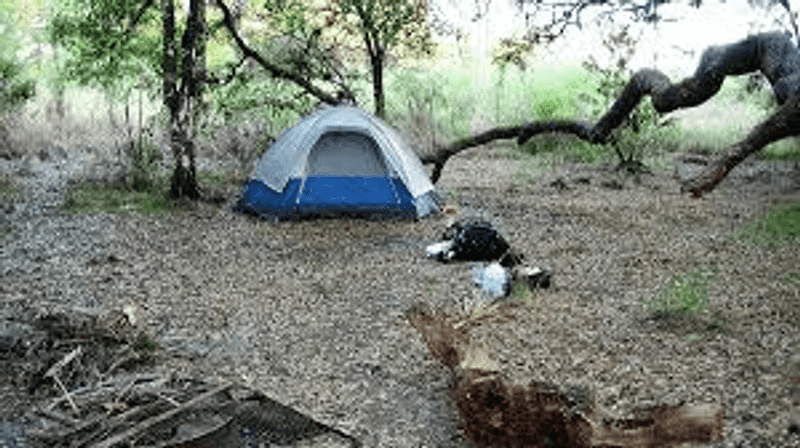 Camping Under the Florida Stars
