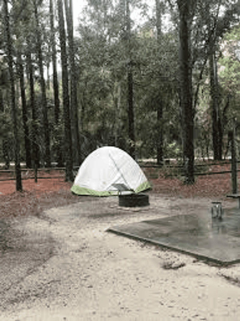 Camping Under the Florida Stars