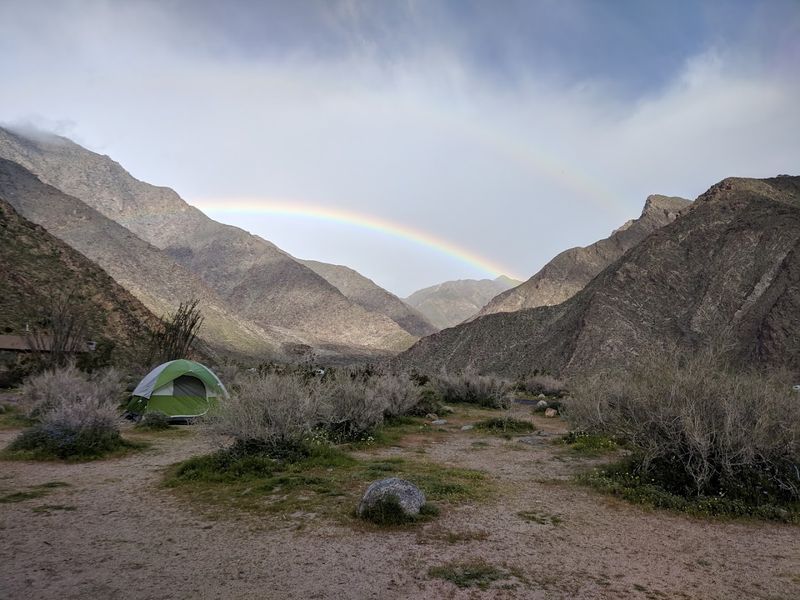 Camping Under the Open Desert Sky