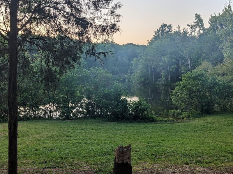 Camping Under the Stars: Nights You Will Not Forget